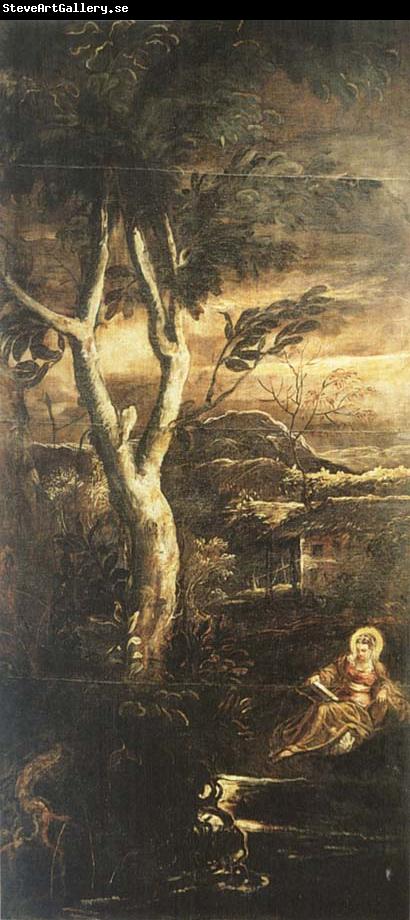 TINTORETTO, Jacopo Mary Magdalene